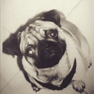 Meet your Posher, Cathy